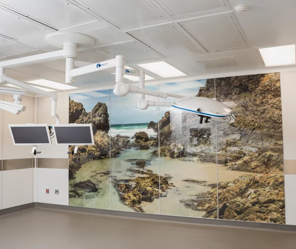 Skytron EASE Modular hospital wall (Pomona beach theme) in medical setting